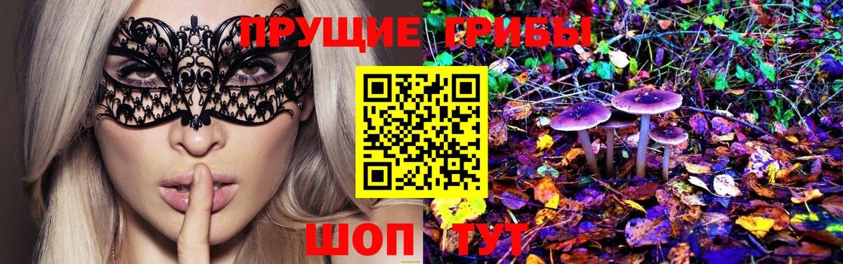 как найти закладки  Вход с VPN  Соль-Илецк  Галлюциногенные грибы Psilocybine cubensis  Псилоцибиновые грибы Psilocybine cubensis 